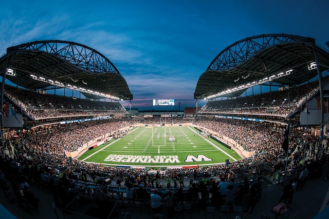 若无法及时 若无法及时