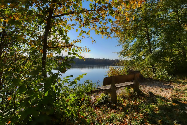 一在于激励 一在于激励